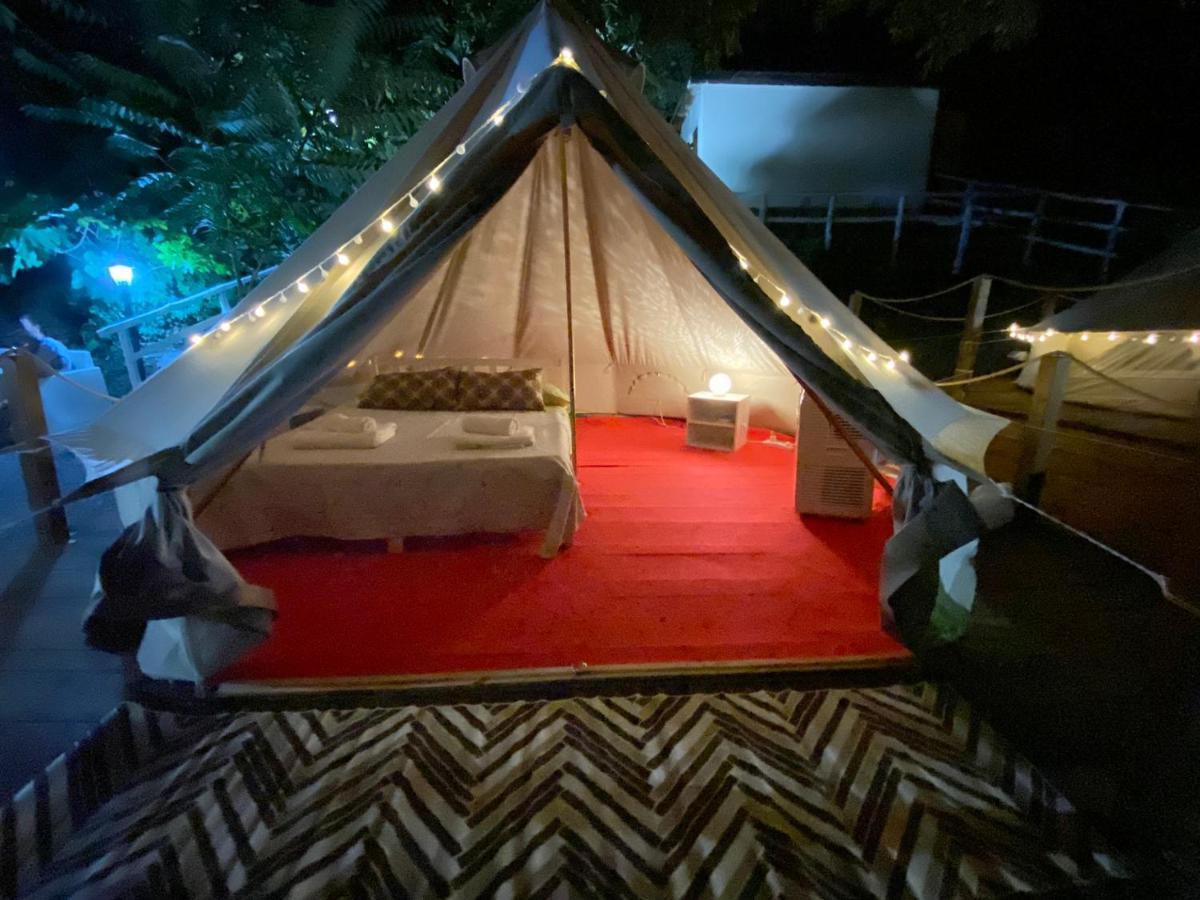 B&B Lao Papasidero Экстерьер фото
